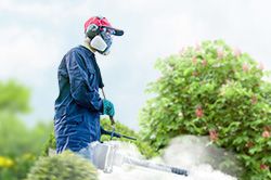 Обработка сада от паразитов - необходимые меры и их регулярность  в Тюмени